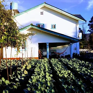 Pensión Vibe Way, Nuwara Eliya